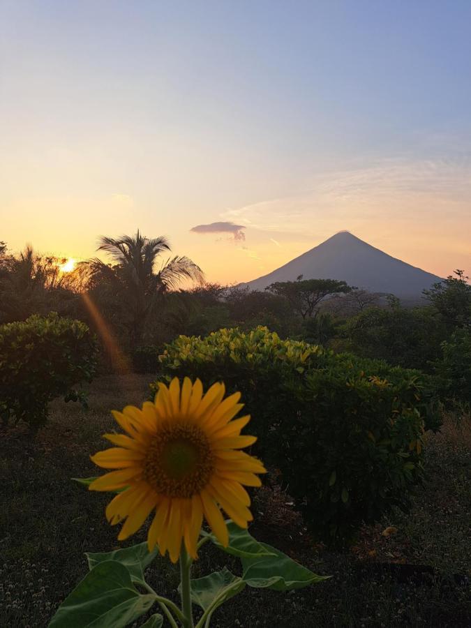 Hostel Santa Cruz Ometepe Altagracia Eksteriør bilde